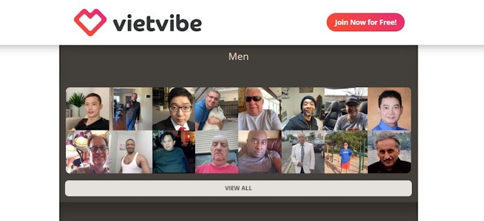 vietvibe review